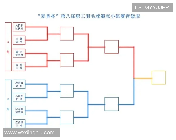 南京羽毛球队与深圳羽毛球队速度对决赛后分析与总结